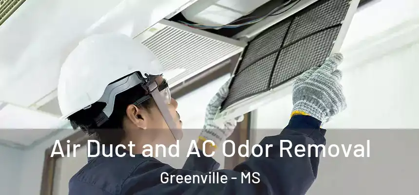  Air Duct and AC Odor Removal Greenville - MS