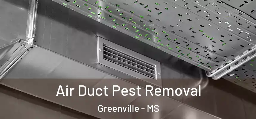 Air Duct Pest Removal Greenville - MS
