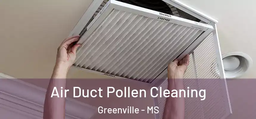  Air Duct Pollen Cleaning Greenville - MS