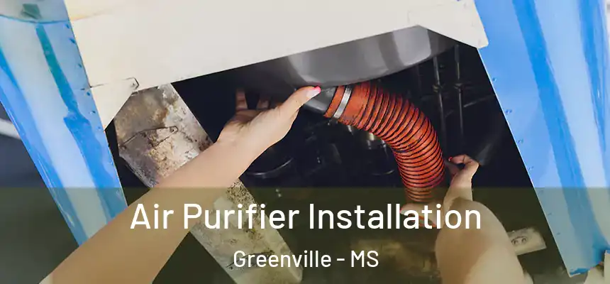 Air Purifier Installation Greenville - MS