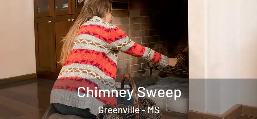  Chimney Sweep Greenville - MS