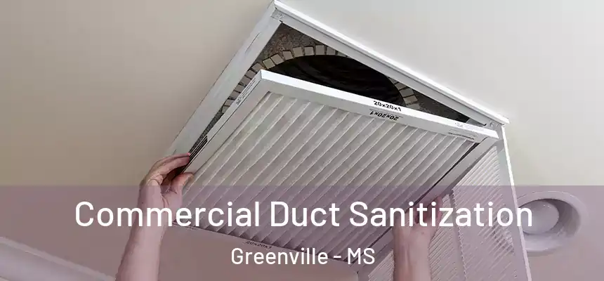 Commercial Duct Sanitization Greenville - MS