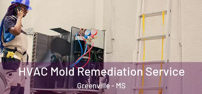  HVAC Mold Remediation Service Greenville - MS
