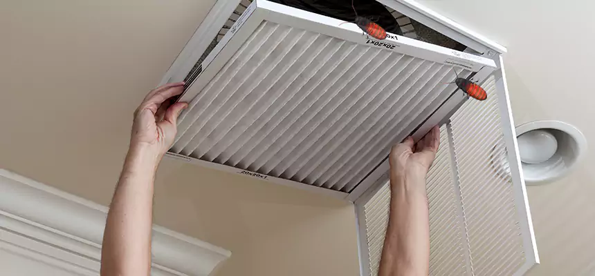 Our Insect Removal from Air Ducts Services in Greenville, MS