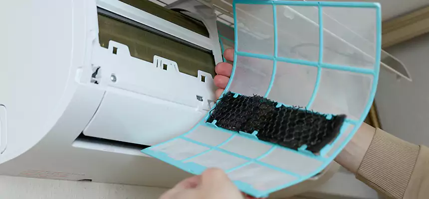 Gentle Ductwork Odor-Control Pet Dander Duct Cleaning in Greenville, MS