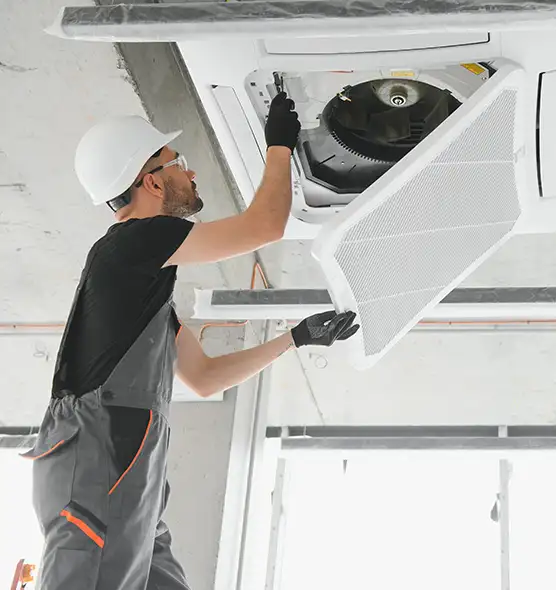 About Air Duct Rodent Removal in Greenville, MS