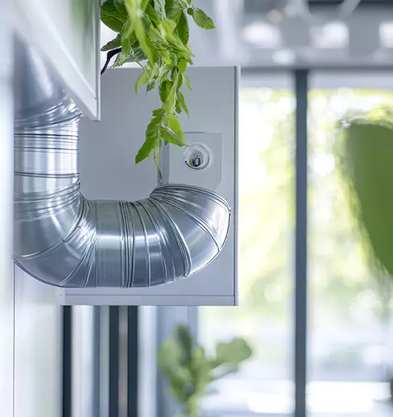 Professional Eco-Friendly Duct Cleaning Services in Greenville, MS