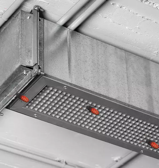 Affordable Insect Removal from Air Ducts in Greenville, MS
