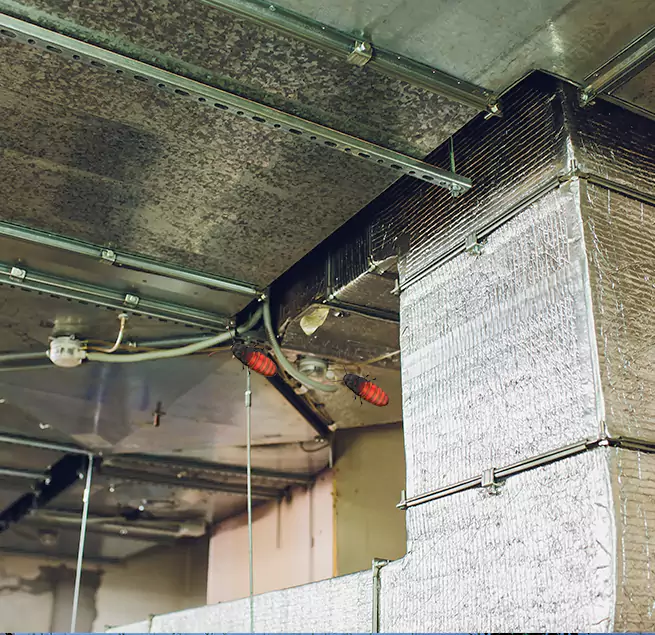 Why Homeowners & Businesses Trust Us in Greenville, MS?