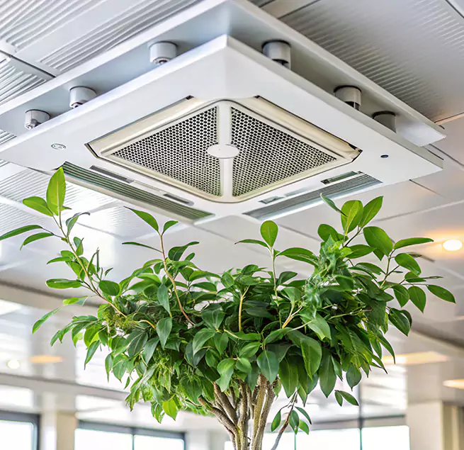 Why Homeowners & Businesses Trust Us in Greenville, MS